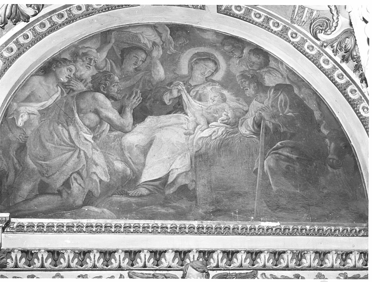 natività di Gesù (dipinto, opera isolata) di Quaglio Giulio (sec. XVIII)