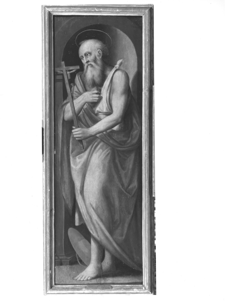 San Girolamo, San Girolamo (dipinto, opera isolata) di Bartolomeo di Paolo del Fattorino detto fra' Bartolomeo (attribuito) (sec. XVI, sec. XVI)