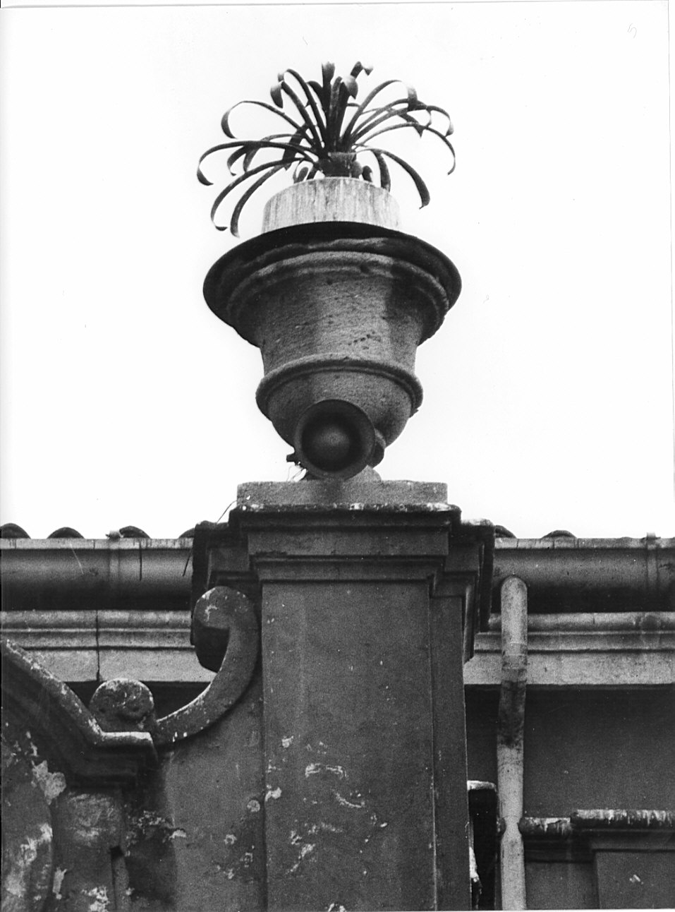 vaso, serie - bottega lombarda (prima metà sec. XVIII)