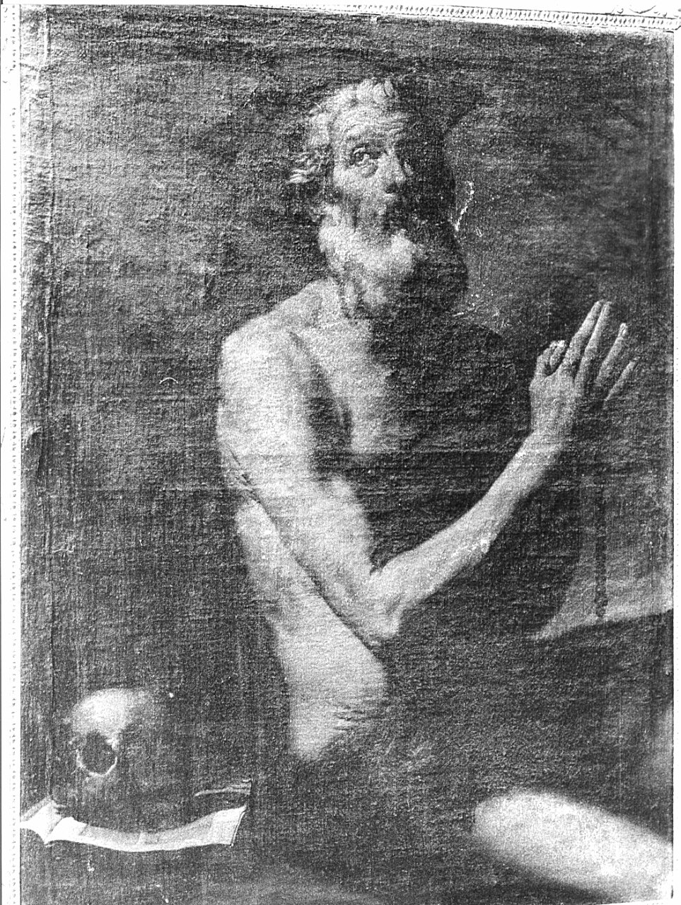 San Girolamo (dipinto, opera isolata) - ambito lombardo (sec. XVIII)