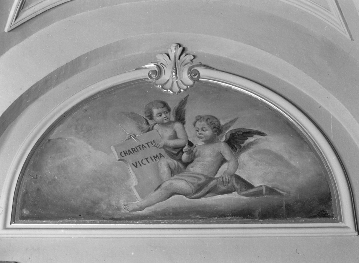 angeli reggitarga (decorazione pittorica, complesso decorativo) di Bacchetta Angelo (fine sec. XIX)