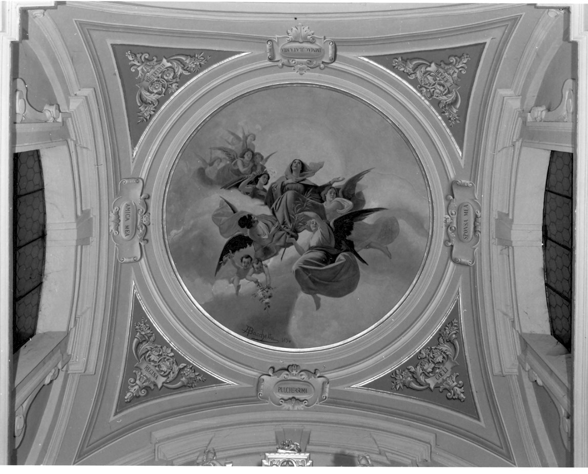 assunzione della Madonna (dipinto, opera isolata) di Bacchetta Angelo (sec. XIX)