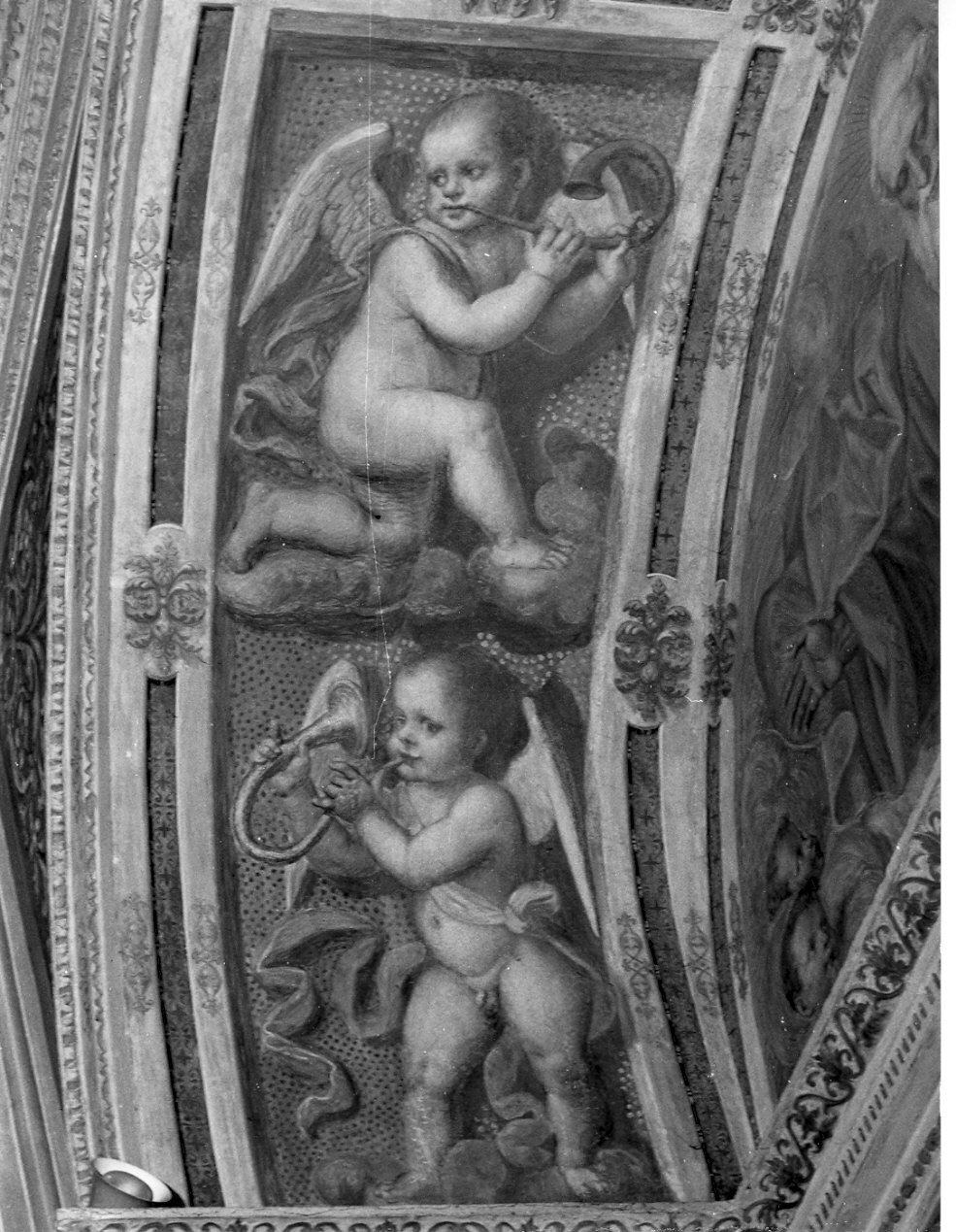 angeli musicanti (dipinto, elemento d'insieme) di Luini Evangelista, Luini Giovan Pietro, Luini Aurelio (metà sec. XVI)