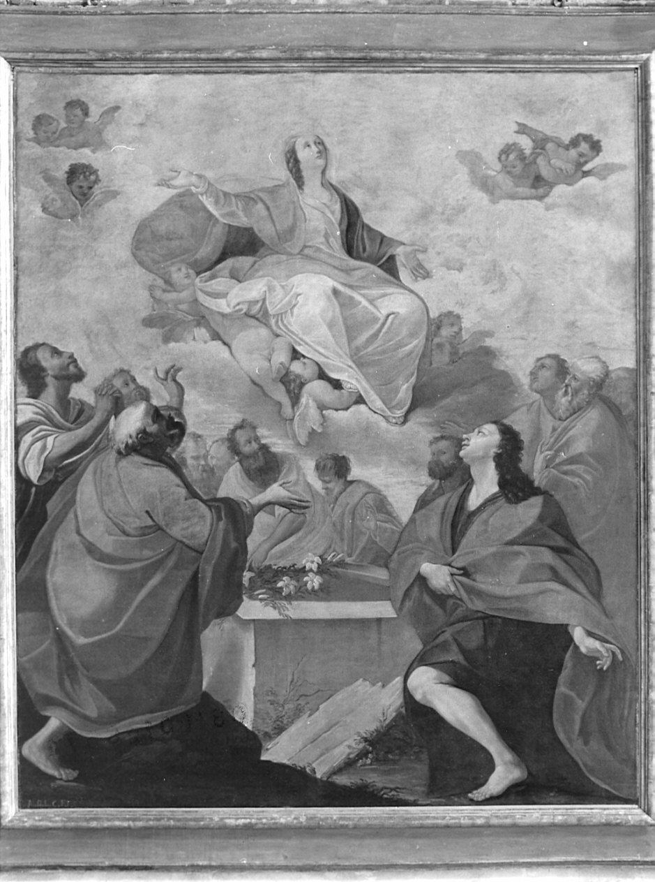 assunzione della Madonna (dipinto, opera isolata) di Meloni Antonio (sec. XVIII)