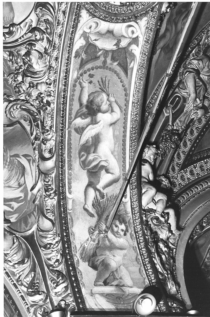 putti (decorazione plastico-pittorica, elemento d'insieme) di Fabbrica Francesco (attribuito) (inizio sec. XVII, sec. XVIII)