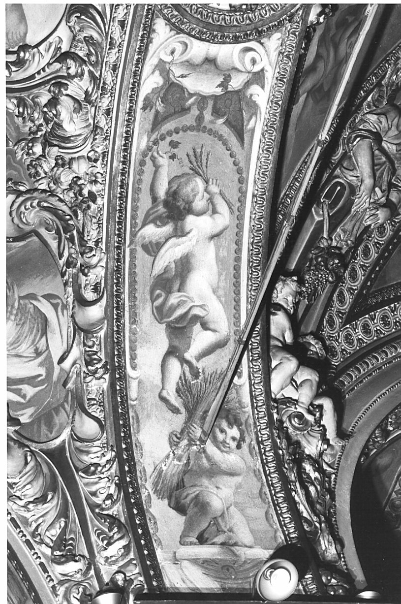 putti (decorazione plastico-pittorica, elemento d'insieme) di Fabbrica Francesco (attribuito) (inizio sec. XVII, sec. XVIII)