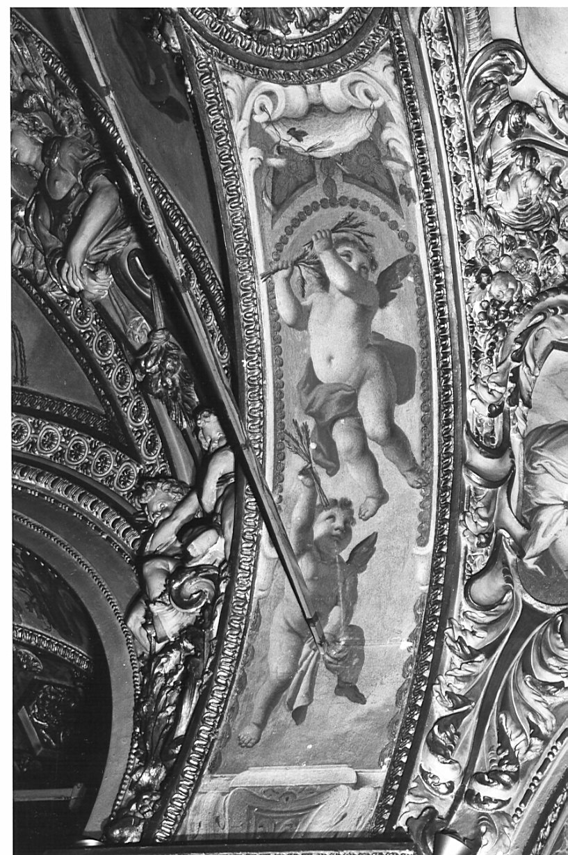 putti (decorazione plastico-pittorica, elemento d'insieme) di Fabbrica Francesco (attribuito) (inizio sec. XVII, sec. XVIII)