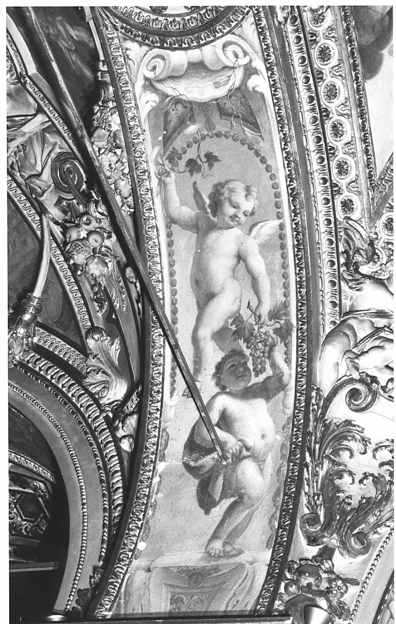 putti (decorazione plastico-pittorica, elemento d'insieme) di Fabbrica Francesco (attribuito) (inizio sec. XVII, sec. XVIII)