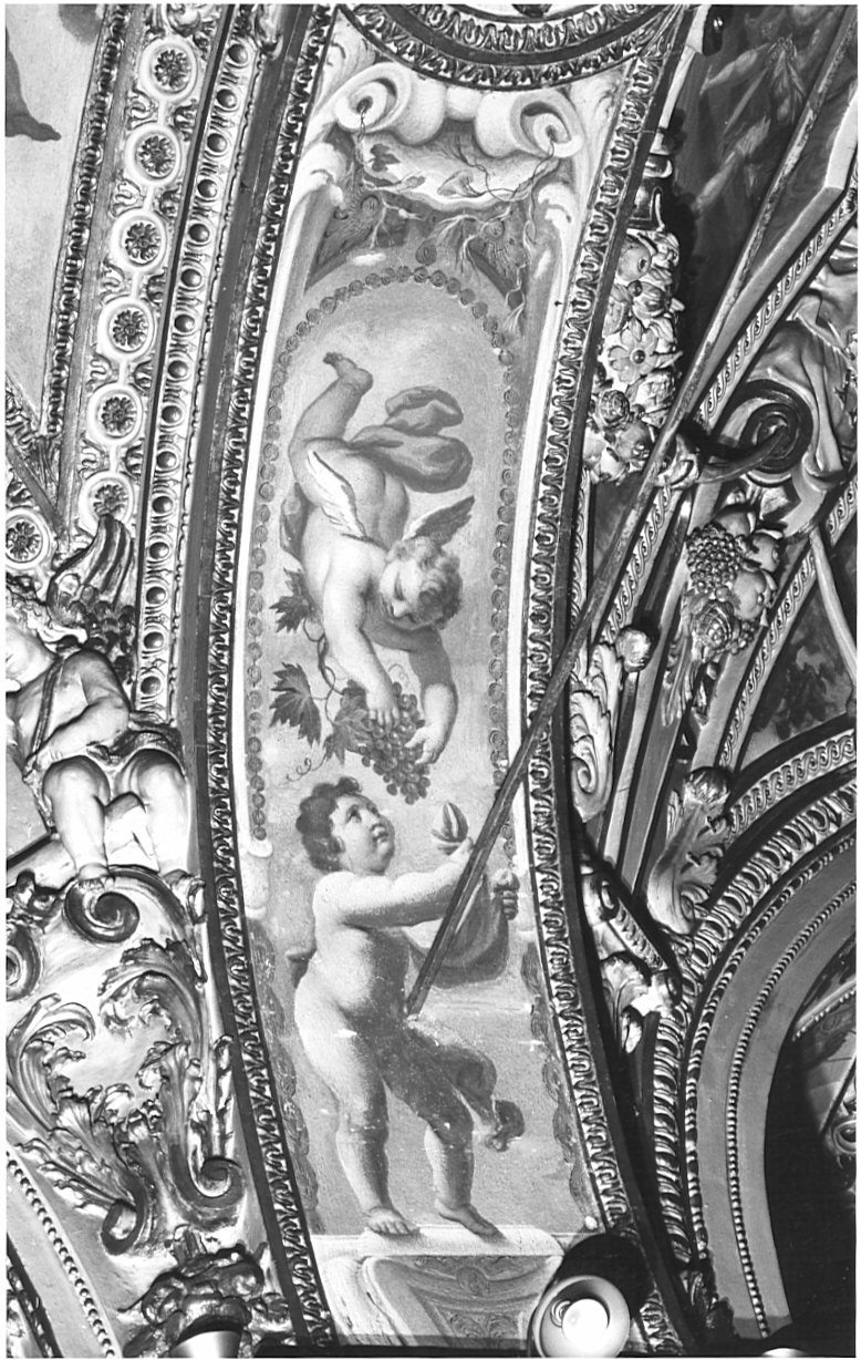 putti (decorazione plastico-pittorica, elemento d'insieme) di Fabbrica Francesco (attribuito) (inizio sec. XVII, sec. XVIII)