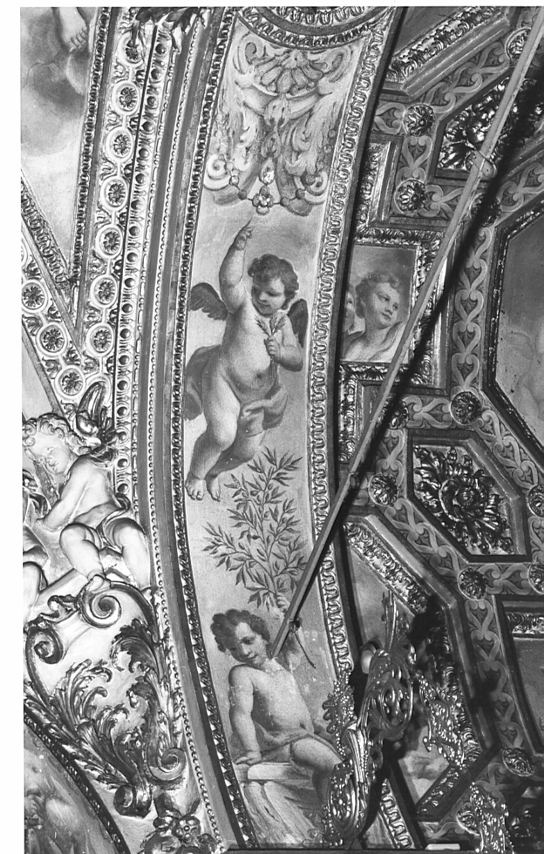 putti (decorazione plastico-pittorica, opera isolata) di Fabbrica Francesco (sec. XVII, sec. XVIII)