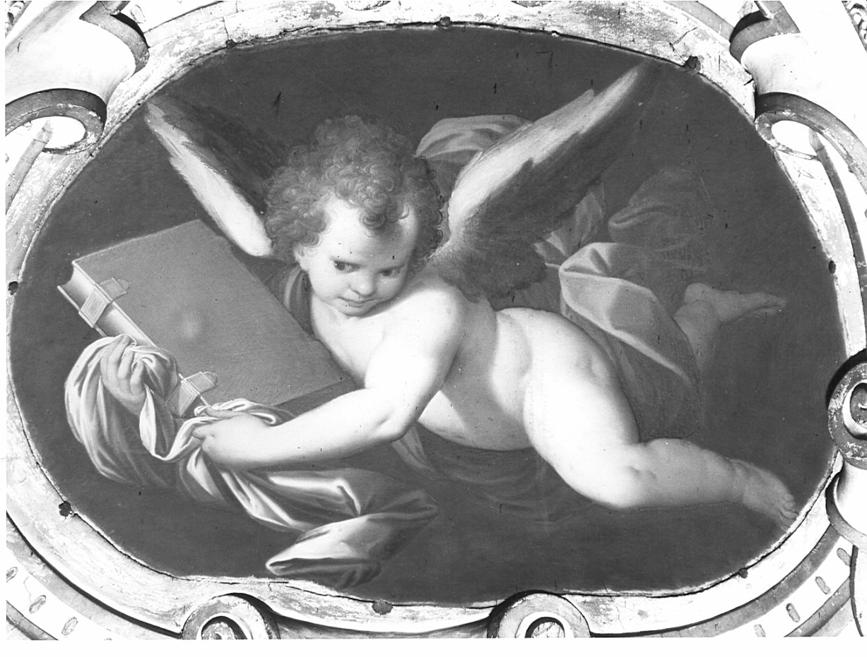 putto alato (dipinto, opera isolata) di Procaccini Camillo (sec. XVII)