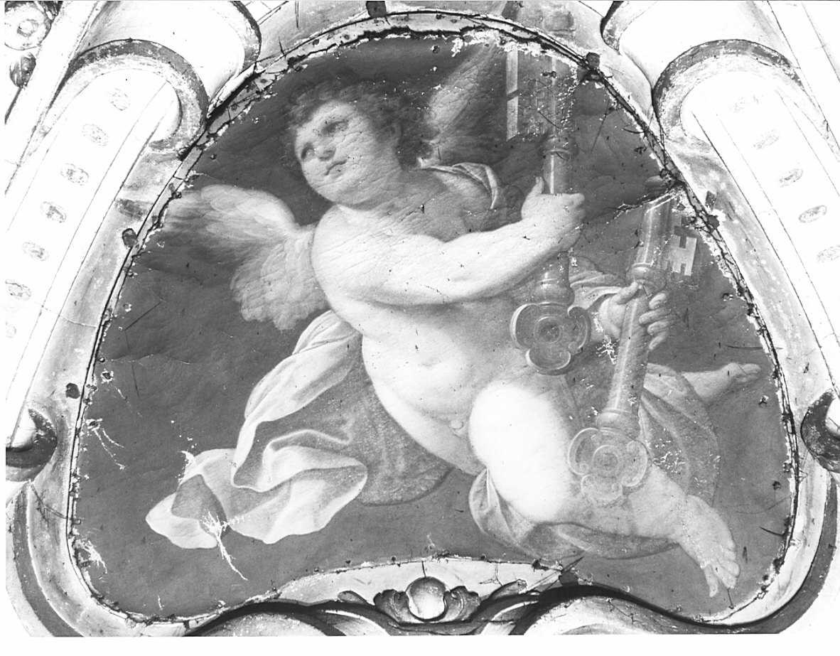 putto alato (dipinto, opera isolata) di Procaccini Camillo (sec. XVII)