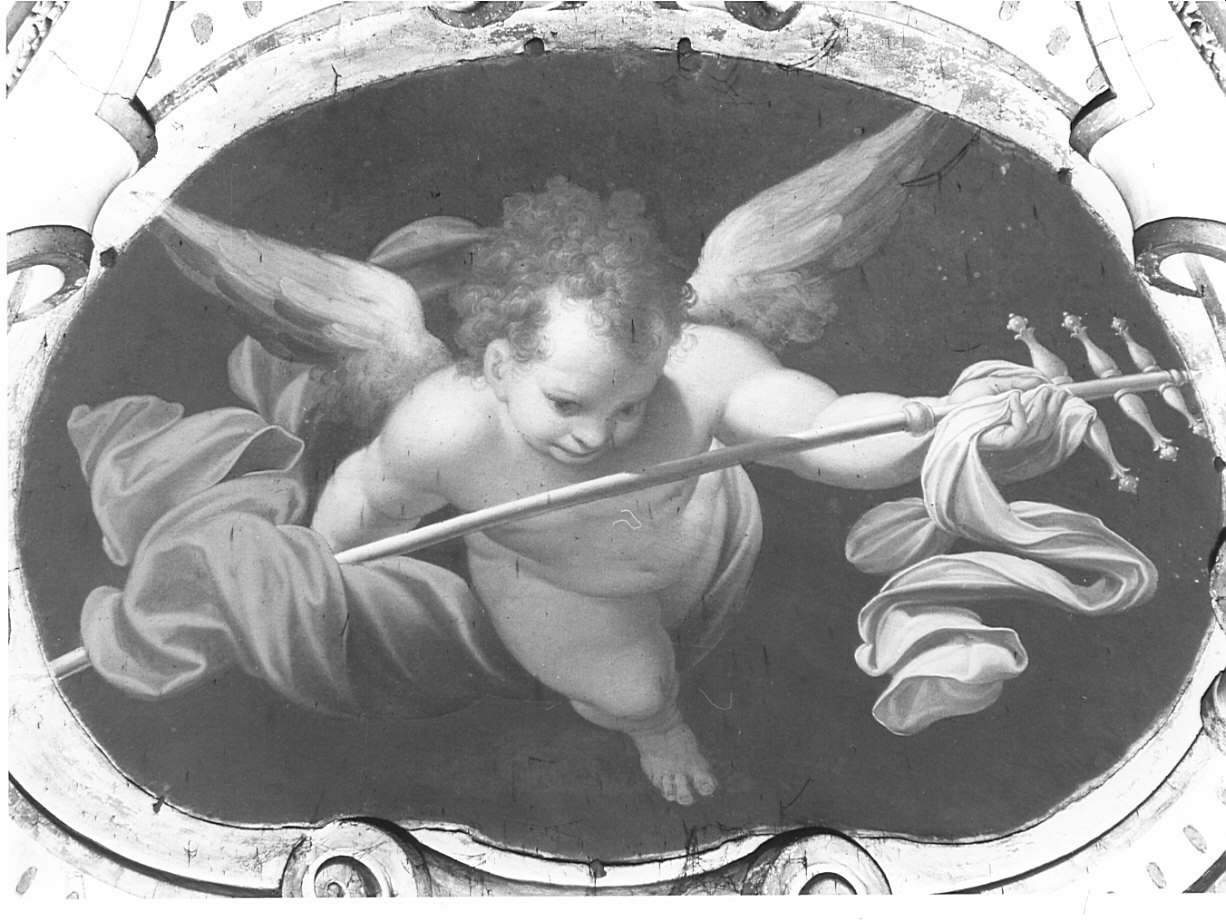 putto alato (dipinto, opera isolata) di Procaccini Camillo (sec. XVII)