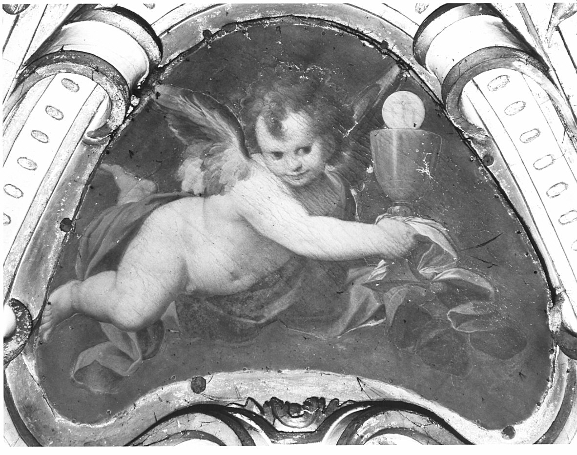 putto alato (dipinto, opera isolata) di Procaccini Camillo (sec. XVII)