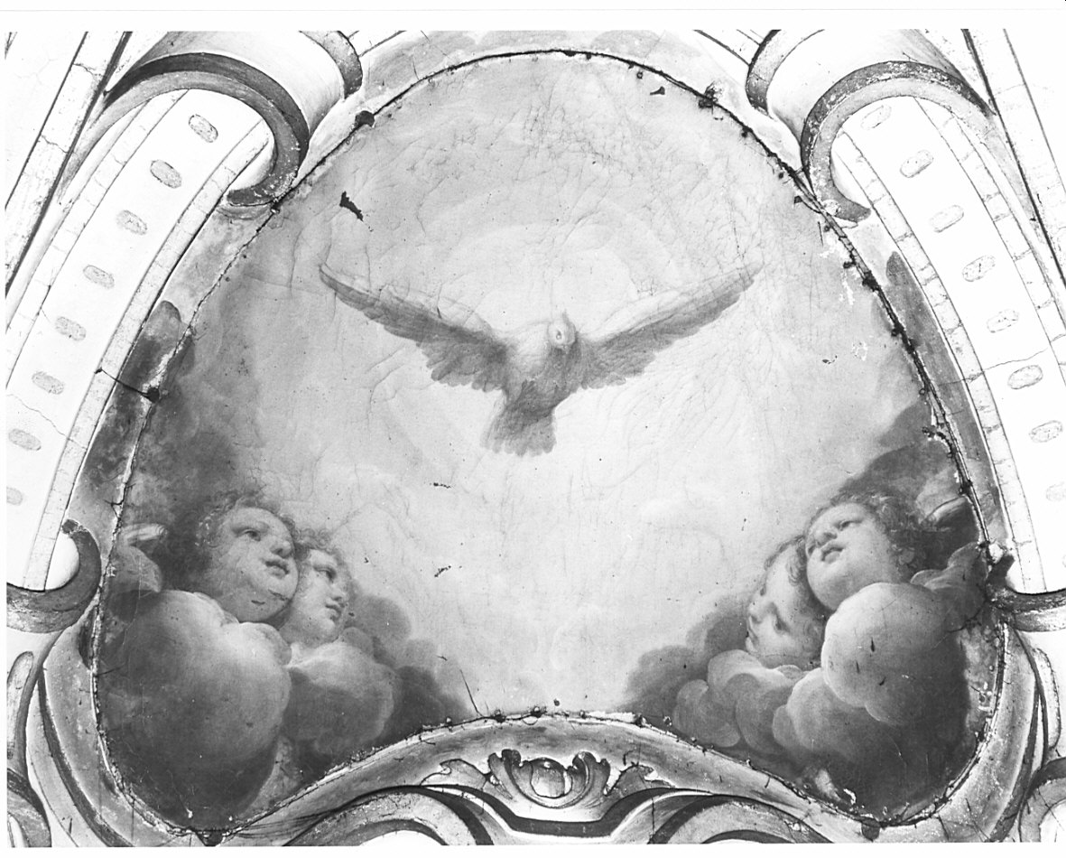 colomba dello Spirito Santo (dipinto, opera isolata) di Procaccini Camillo (sec. XVII)