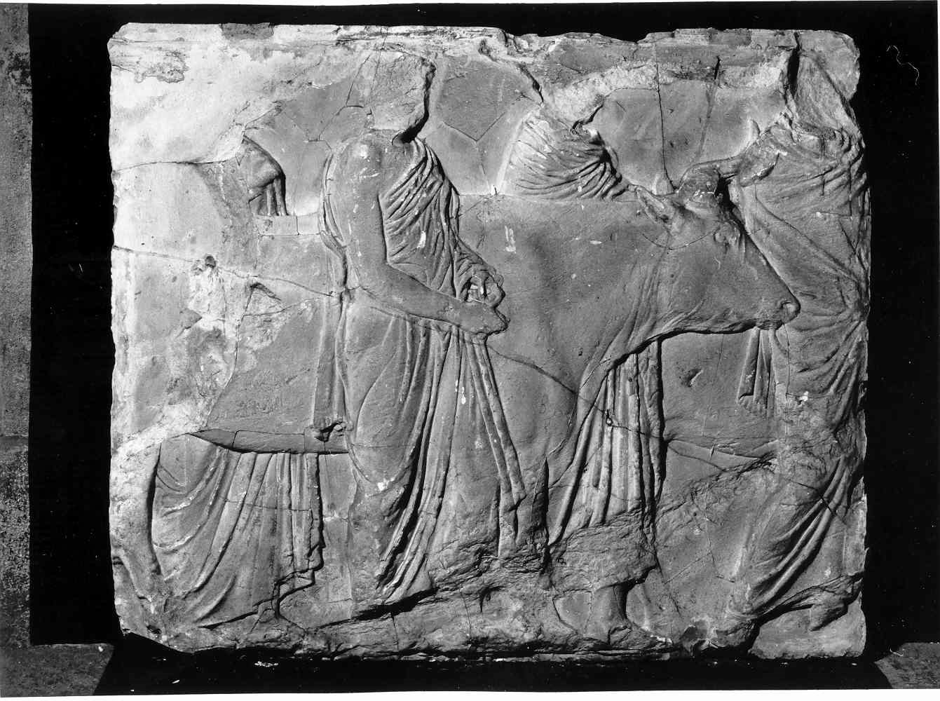 Riti sacrificali durante le feste Panatenee, guardiani conducono giovenche al sacrificio (lastra, frammento) - ambito inglese (sec. XIX)