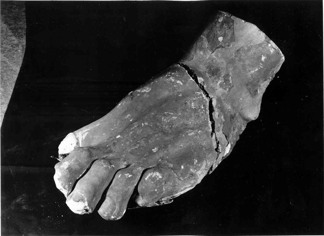 Laocoonte, piede (gruppo scultoreo, frammento) - ambito lombardo (sec. XIX)