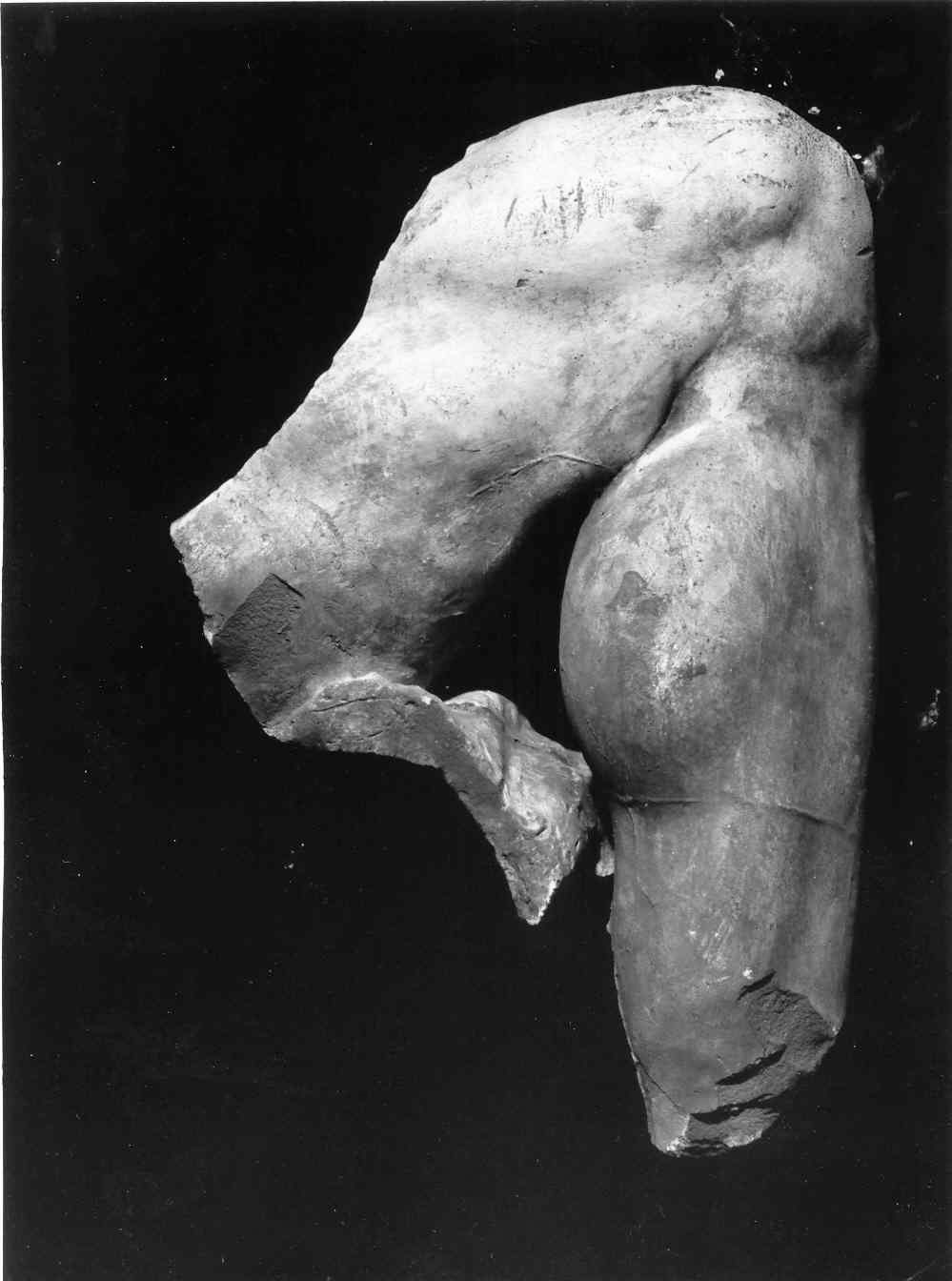 Laocoonte, gamba (gruppo scultoreo, frammento) - ambito lombardo (sec. XIX)