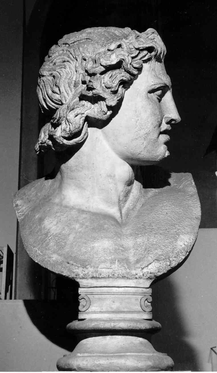 dioscuro (scultura, opera isolata) - ambito romano (sec. XIX)