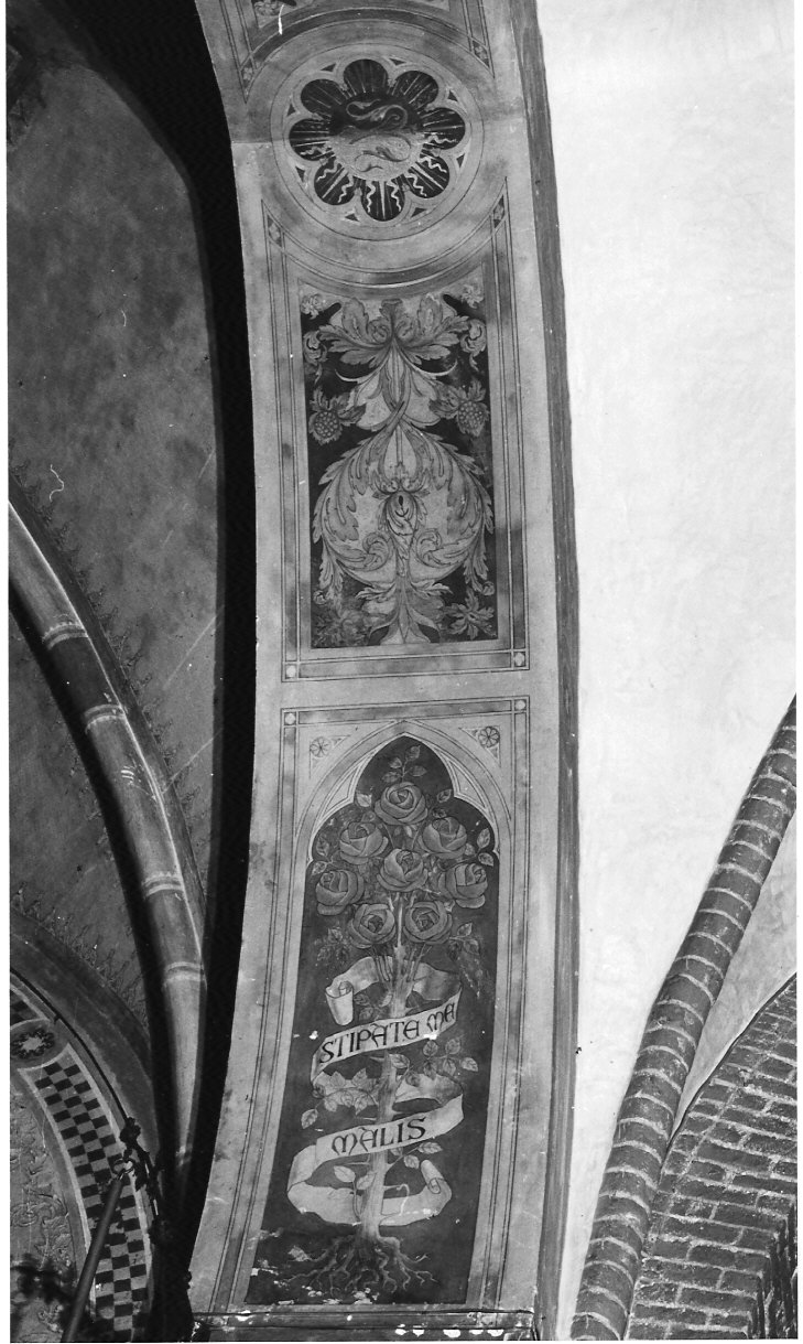 motivi decorativi vegetali (dipinto, elemento d'insieme) di Bignami Osvaldo (attribuito) (sec. XX)