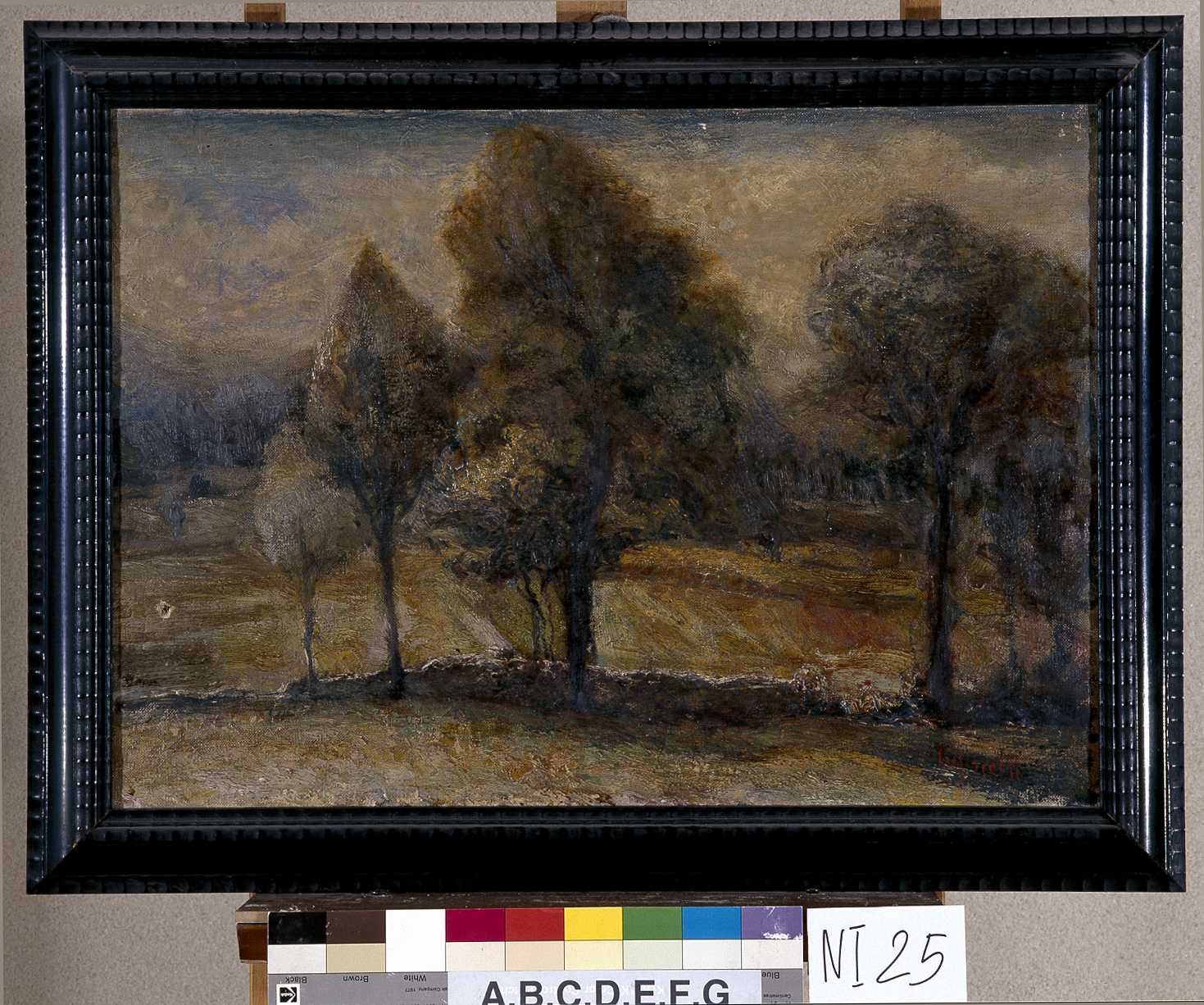 Paesaggio con alberi (dipinto, opera isolata) di Pasinetti (Antonio ?) (prima metà sec. XX)