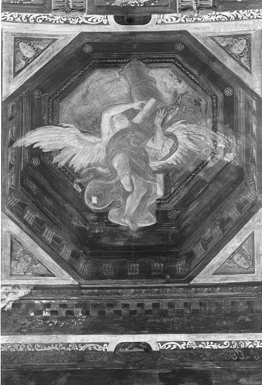 angelo reggicolonna (dipinto, elemento d'insieme) di Campi Vincenzo (attribuito) (sec. XVI)