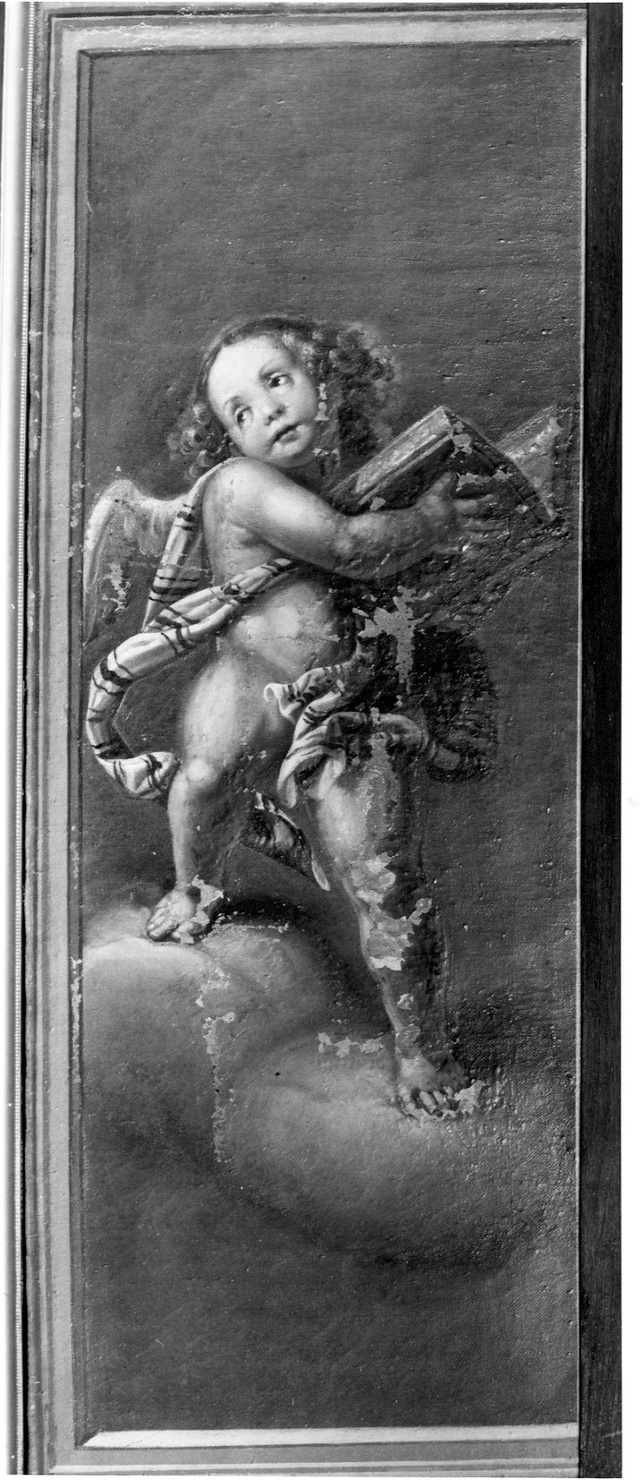 angelo con libro (dipinto, elemento d'insieme) di Procaccini Giulio Cesare (attribuito) (inizio sec. XVII)