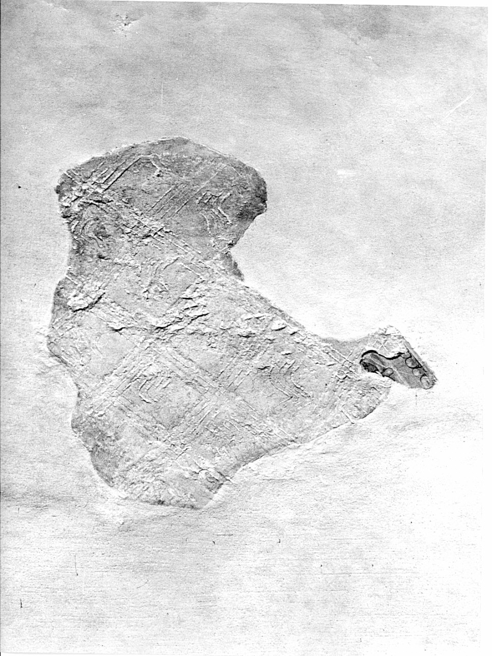 decorazione, frammento - ambito lombardo (seconda metà sec. XV)