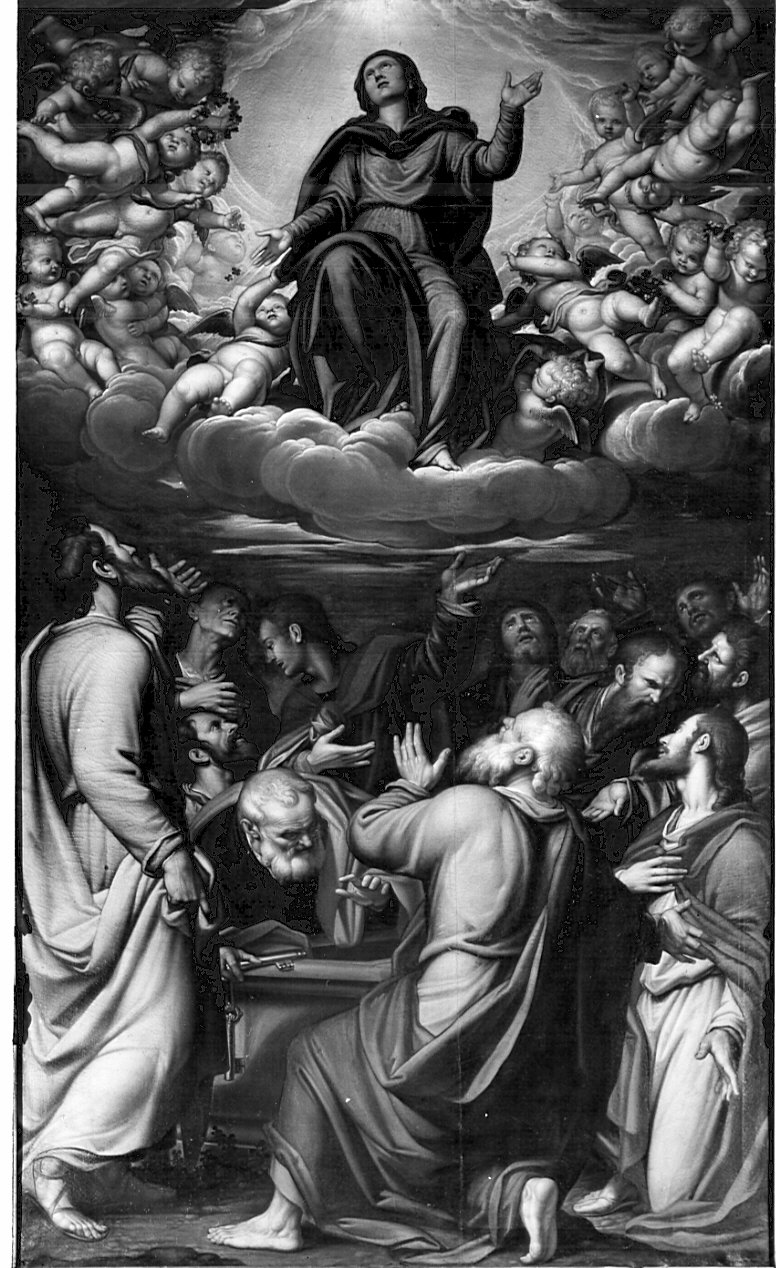 salita di Cristo al monte Calvario (dipinto, opera isolata) di Bacchi Pietro (attribuito) (sec. XVI)