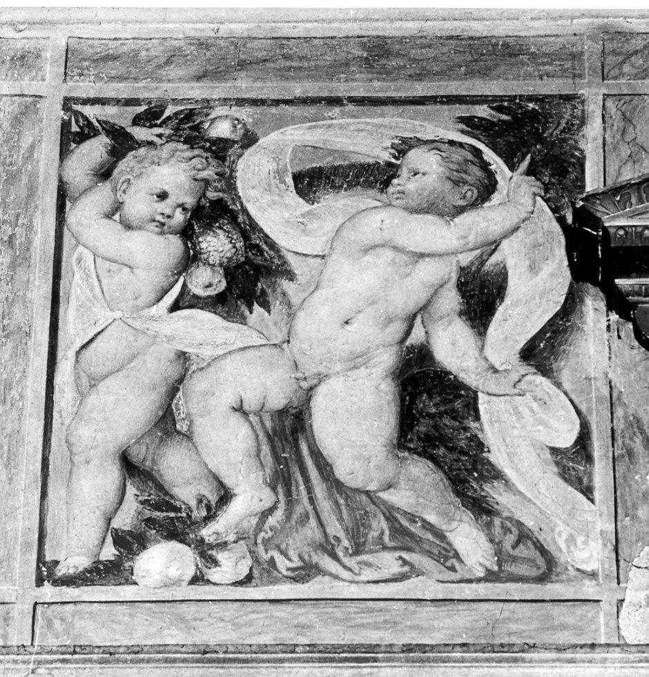 putti con foglie e frutti (dipinto, opera isolata) di Piazza Callisto (attribuito) (metà sec. XVI)