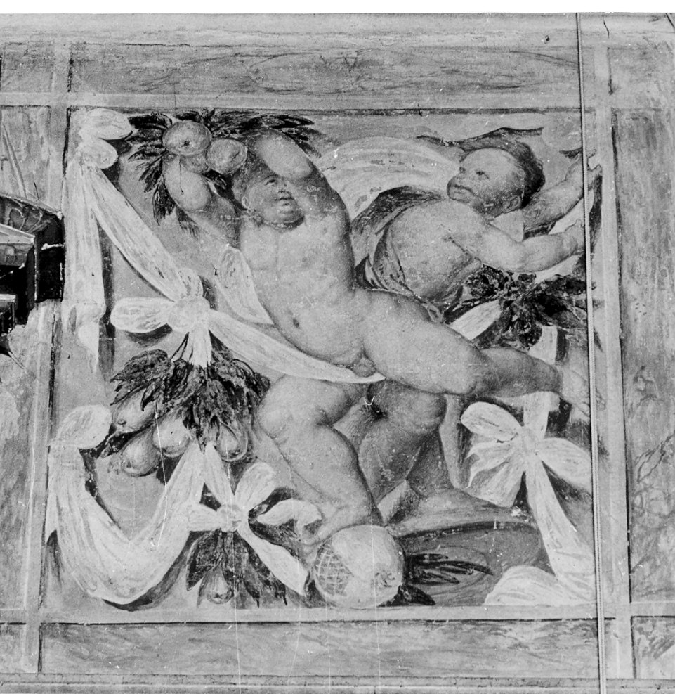 putti e festoni (dipinto, opera isolata) di Piazza Callisto (attribuito) (metà sec. XVI)