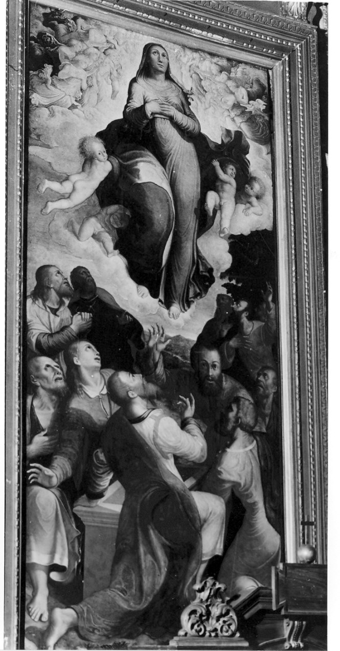 assunzione della Madonna (dipinto, opera isolata) di Urbino Carlo (attribuito) (sec. XVI)