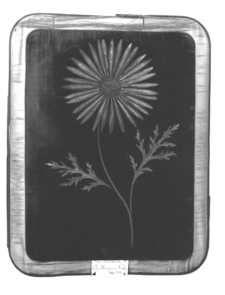 margherita (decorazione, opera isolata) di Settepassi (sec. XIX)