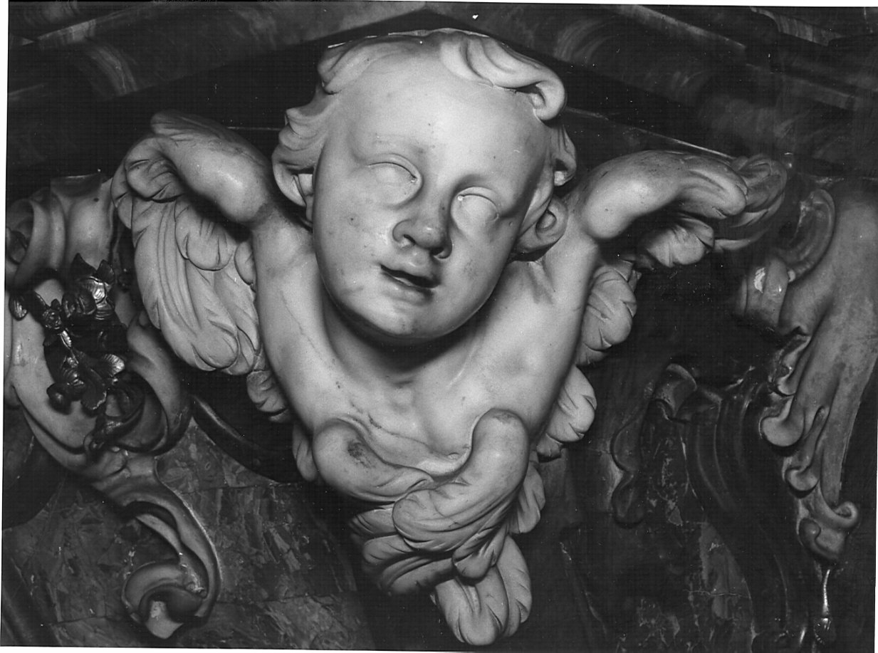 testa alata (scultura, elemento d'insieme) di Piana Isidoro Maria (attribuito) (sec. XVIII)