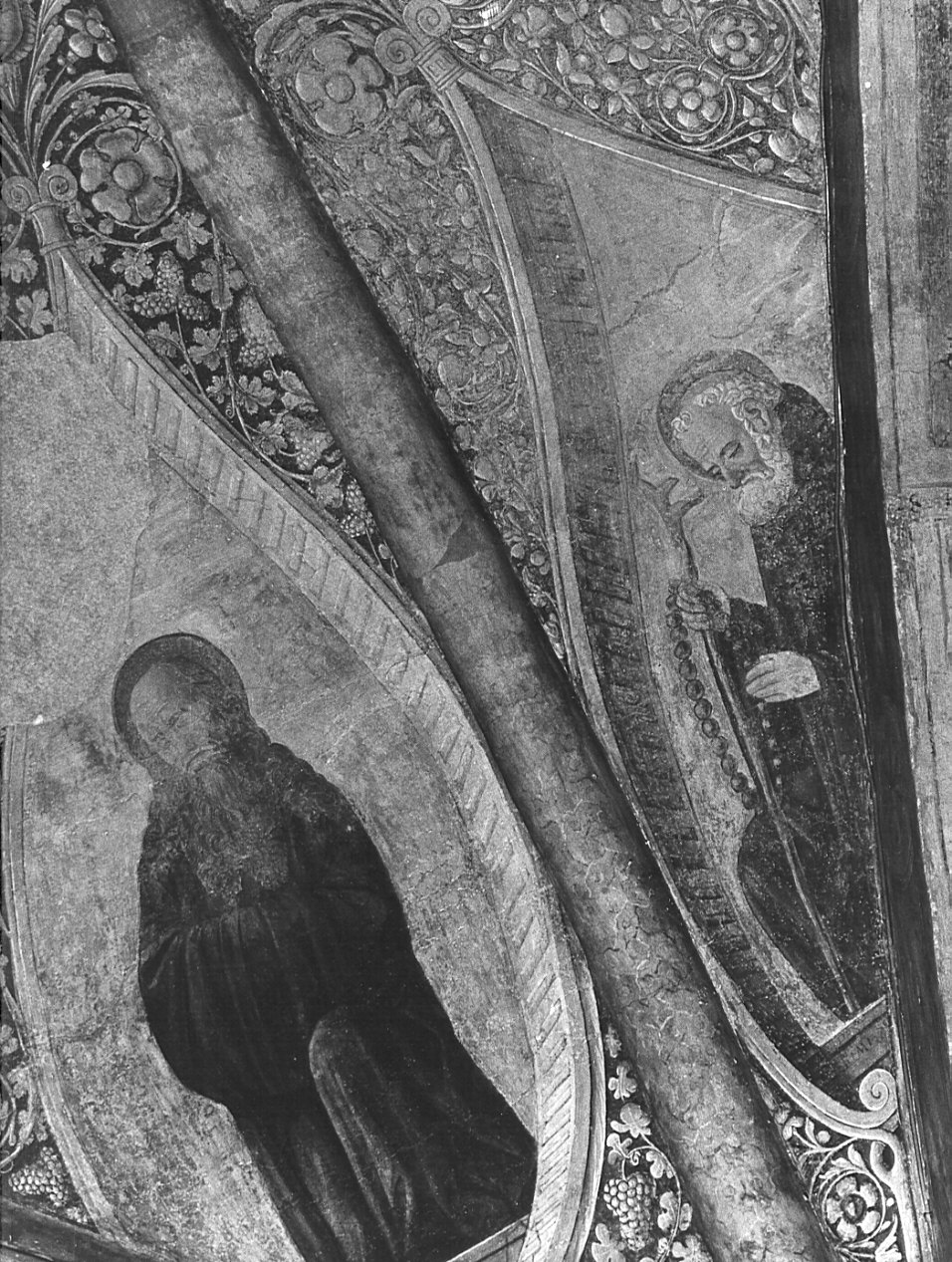 motivi decorativi vegetali e figura di monaco (dipinto, elemento d'insieme) di Montorfano Giovanni Donato (sec. XV)