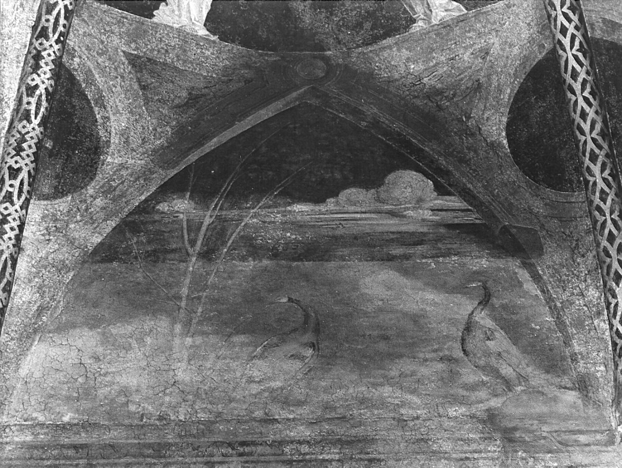 paesaggio con animali (decorazione pittorica, complesso decorativo) di Butinone Bernardino, Zenale Bernardino (sec. XV)
