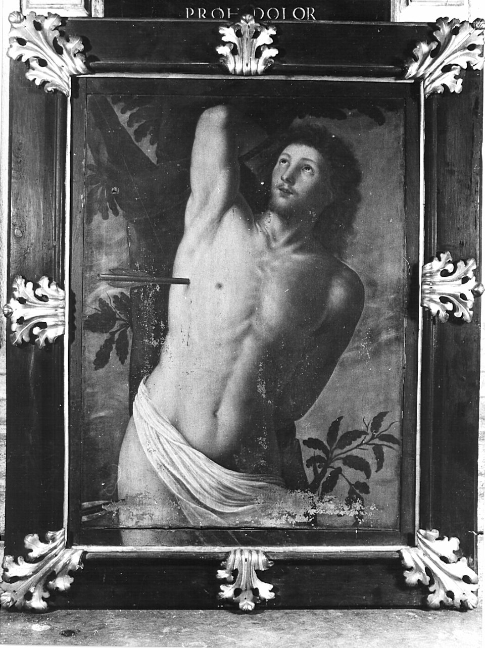 San Sebastiano (dipinto, opera isolata) di Vermiglio Giuseppe (sec. XVII)