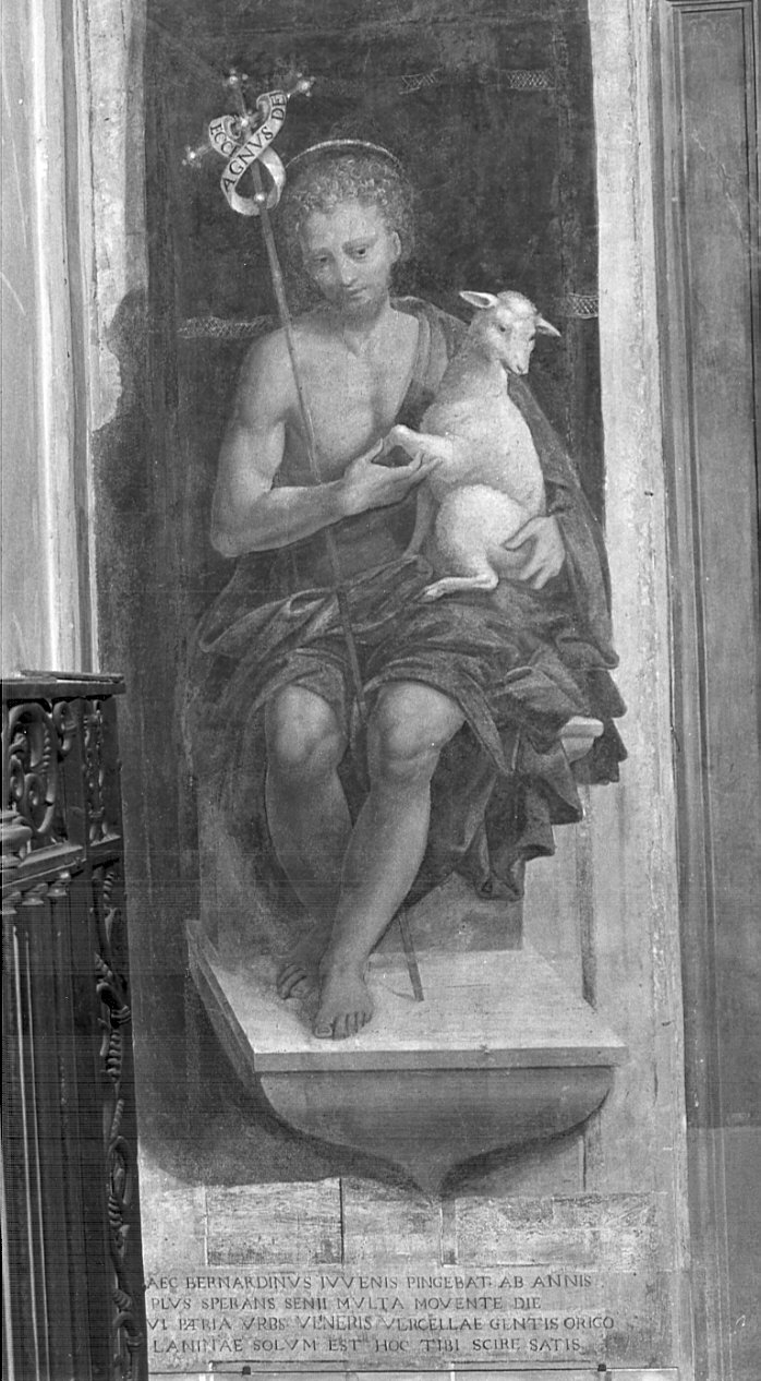 San Giovanni Battista (dipinto, elemento d'insieme) di Lanino Bernardino (sec. XVI)