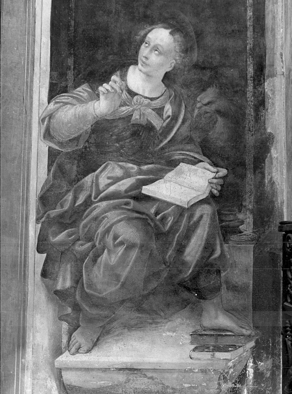San Giovanni Evangelista (dipinto, elemento d'insieme) di Lanino Bernardino (sec. XVI)