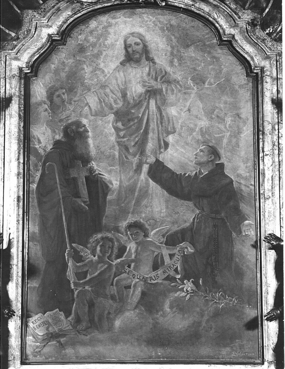 Cristo in gloria e Santi (dipinto, opera isolata) di Volonterio Enrico (inizio sec. XX)