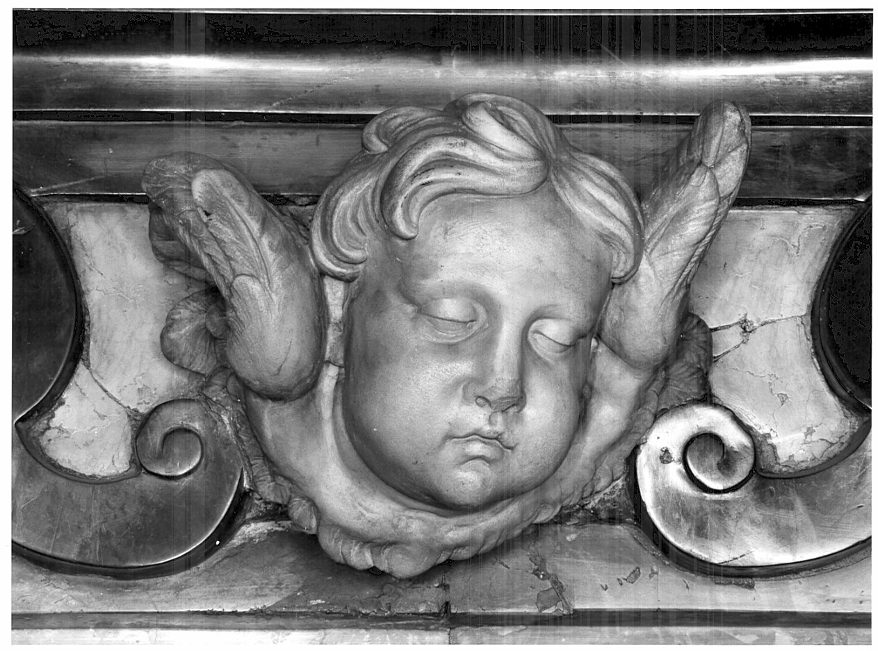 cherubino (scultura, elemento d'insieme) di Rusnati Giuseppe (attribuito) (sec. XVIII)