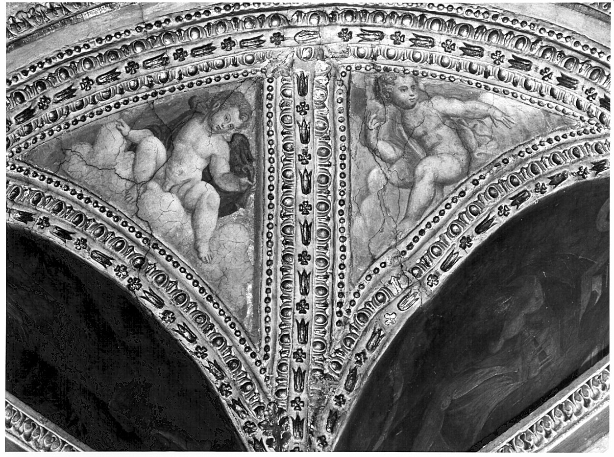 angeli (dipinto, opera isolata) di Semino Ottavio (sec. XVI)