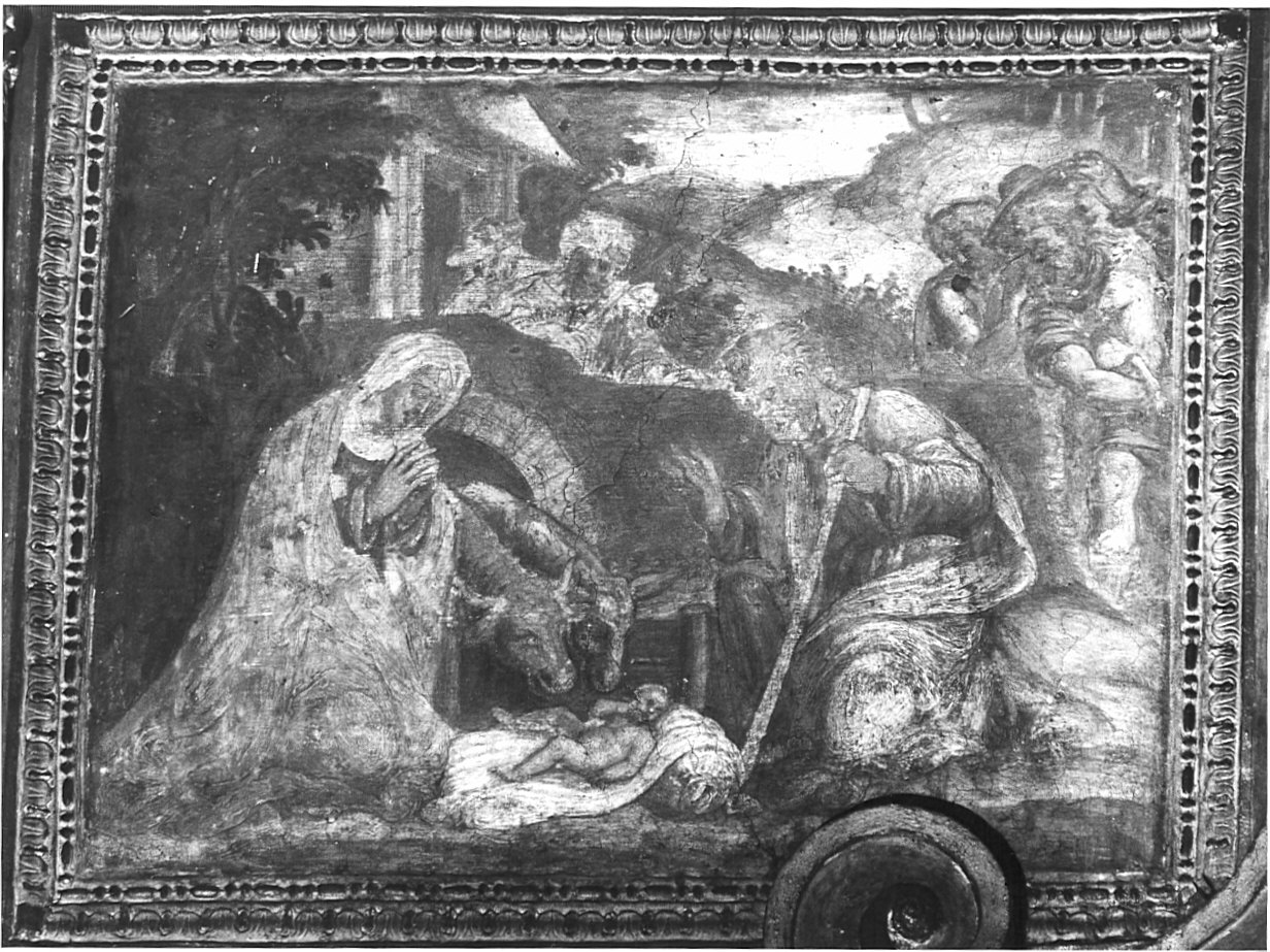 natività di Gesù (dipinto, opera isolata) di Semino Ottavio (sec. XVI)