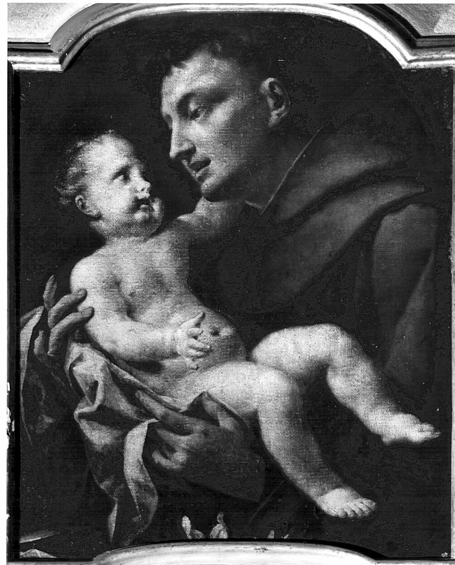 Sant'Antonio con Gesù Bambino (dipinto, opera isolata) di Procaccini Camillo (scuola) (prima metà sec. XVII)