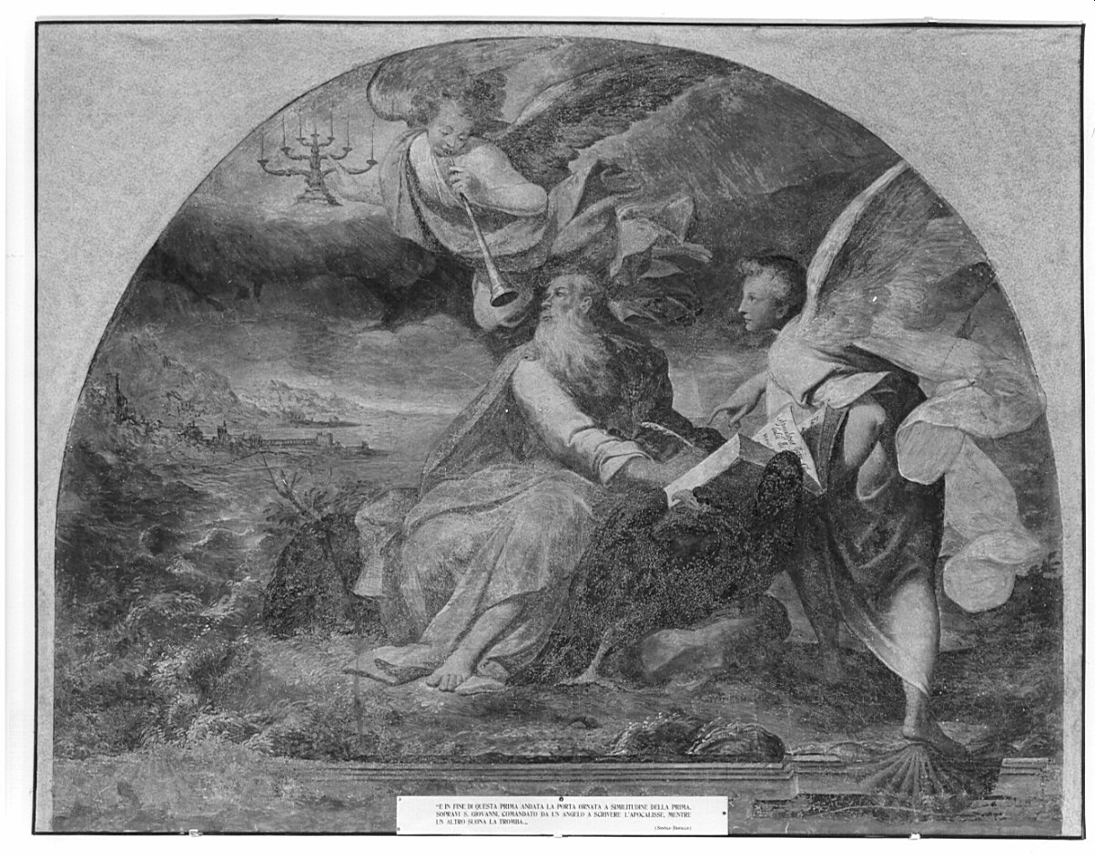 San Giovanni Evangelista in Patmos (dipinto, opera isolata) di Procaccini Camillo (prima metà sec. XVII)