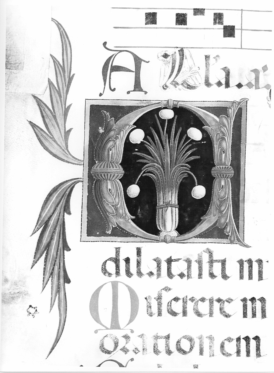 Fiori e frutti stilizzati (miniatura, serie) - ambito lombardo (fine/inizio secc. XV/ XVI)