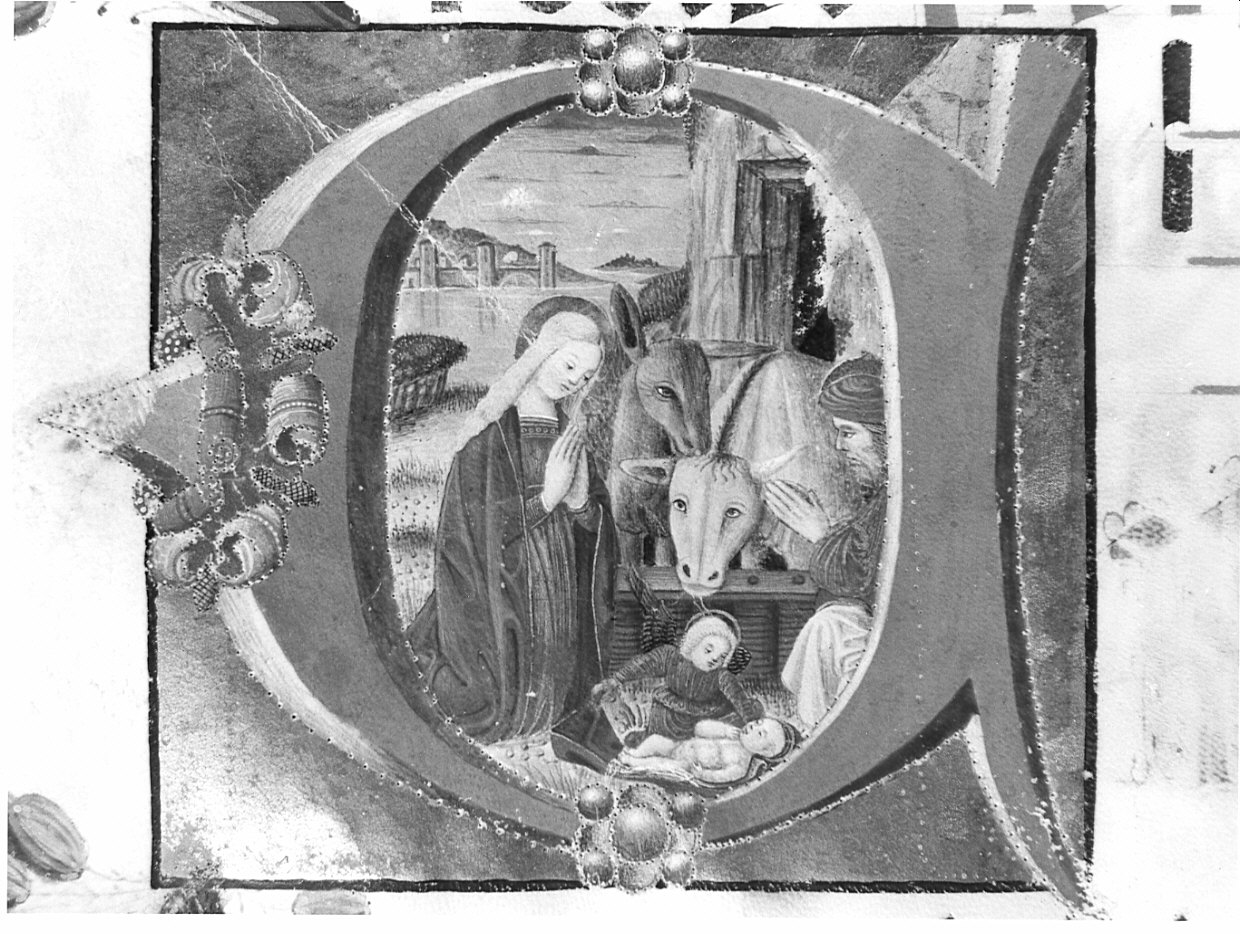 natività di Gesù (miniatura, opera isolata) - ambito lombardo (fine/inizio secc. XV/ XVI)