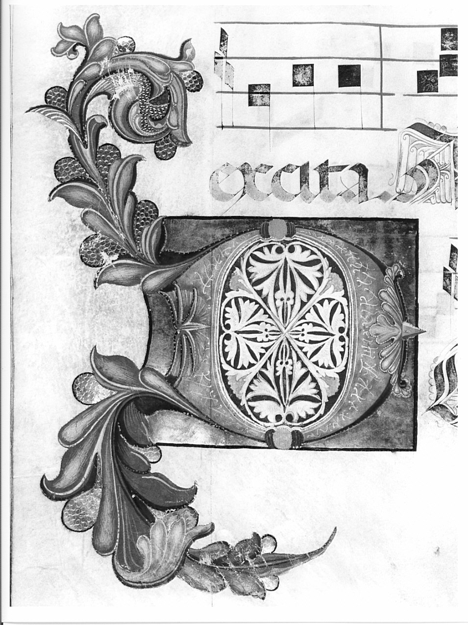 un timbro (miniatura, opera isolata) - ambito lombardo (fine/inizio secc. XV/ XVI)