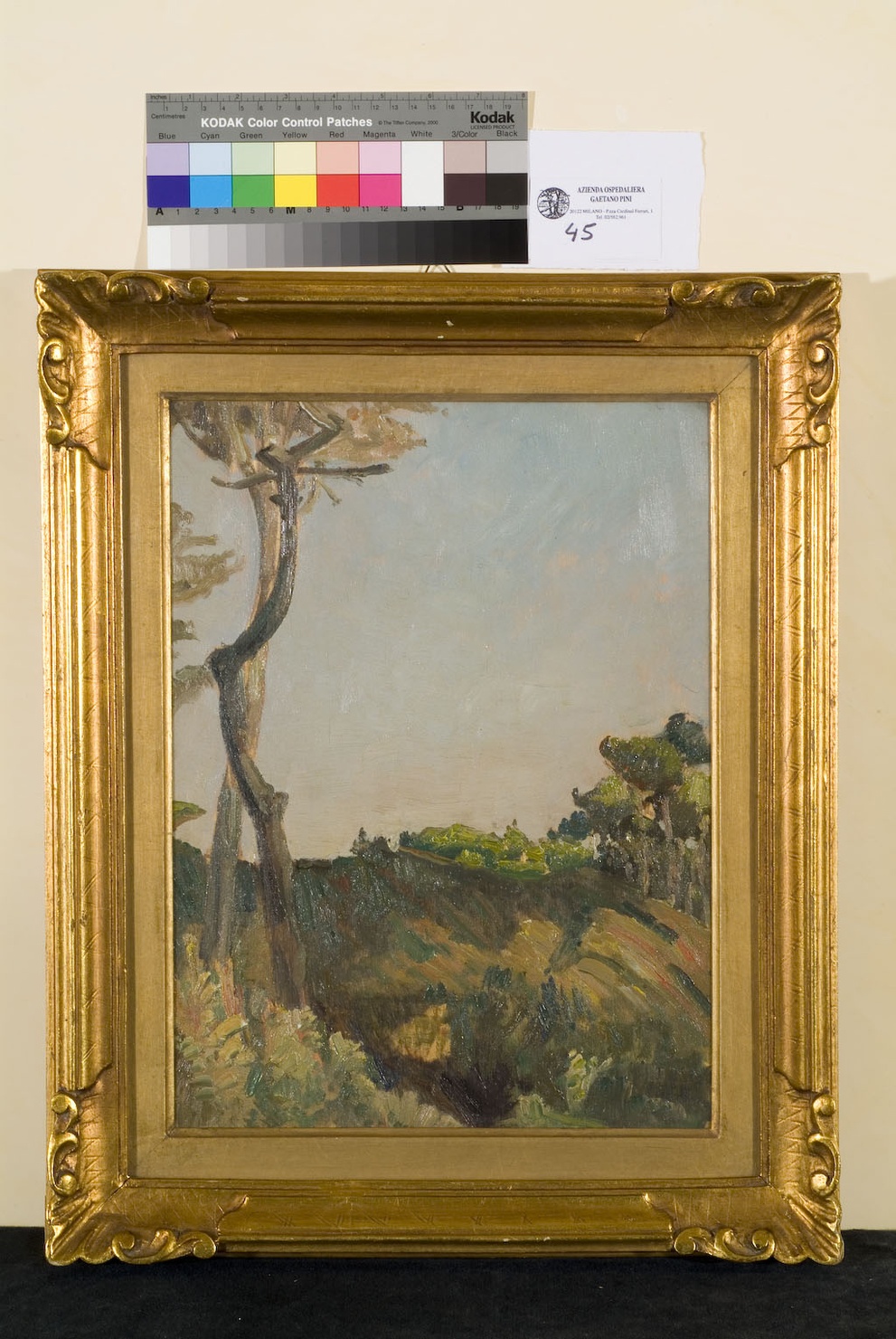 paesaggio con alberi (dipinto, opera isolata) di Carpi Arturo (sec. XX)