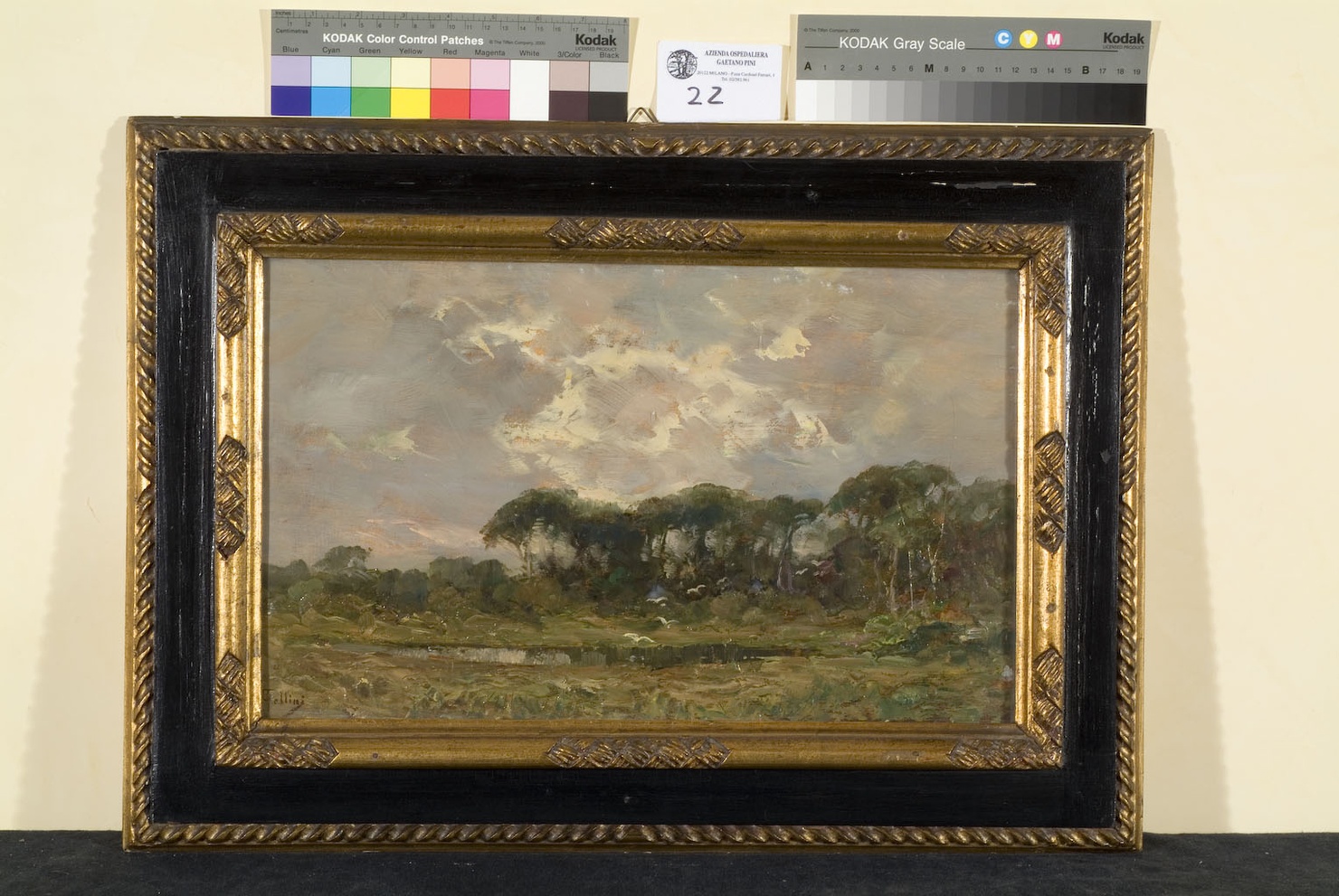 paesaggio con alberi (dipinto, opera isolata) di Follini Carlo (primo quarto sec. XX)